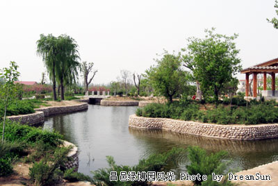 追梦阳光