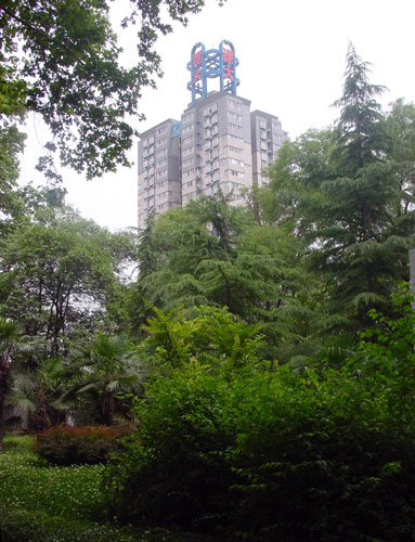 追梦阳光